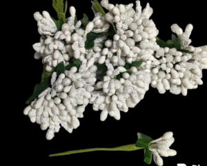 Pollen Flowers white